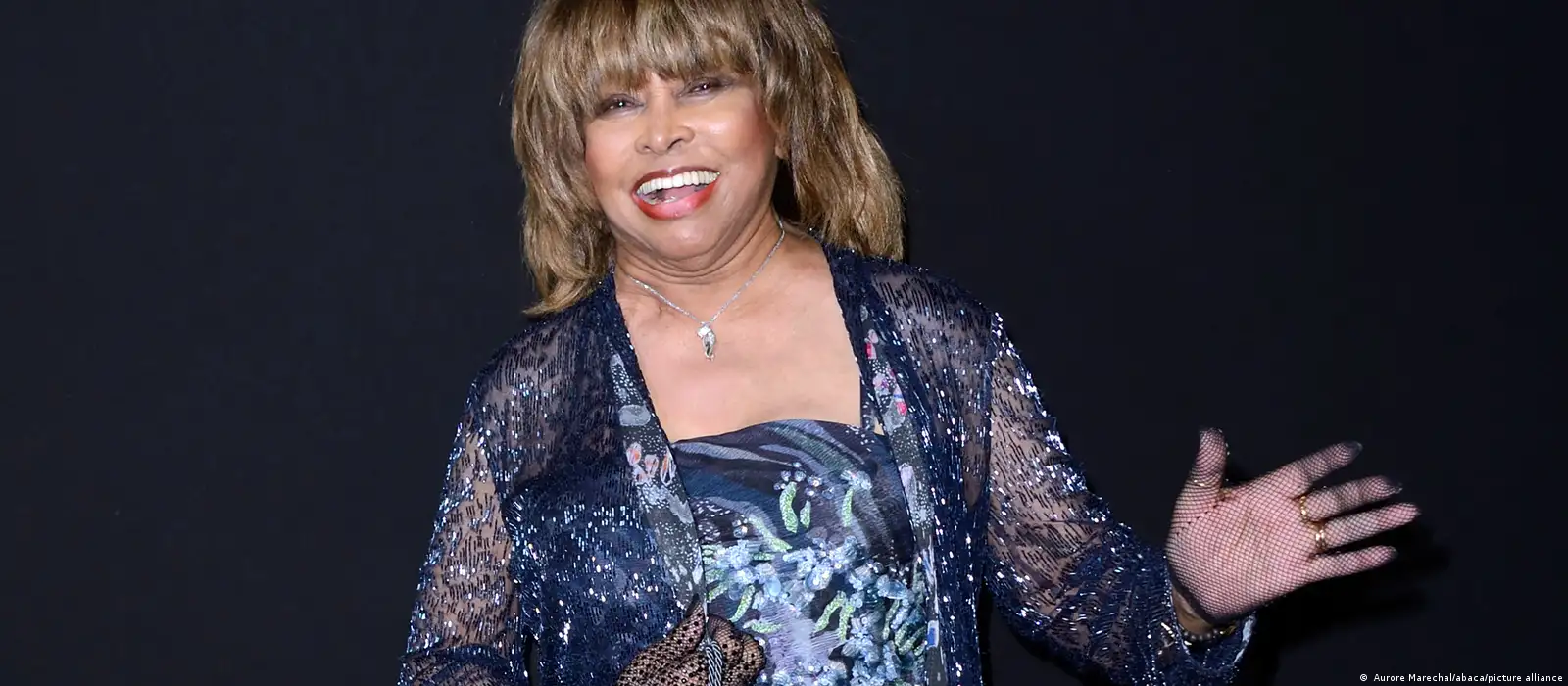 Tina Turner sues over German look-alike tribute show – DW