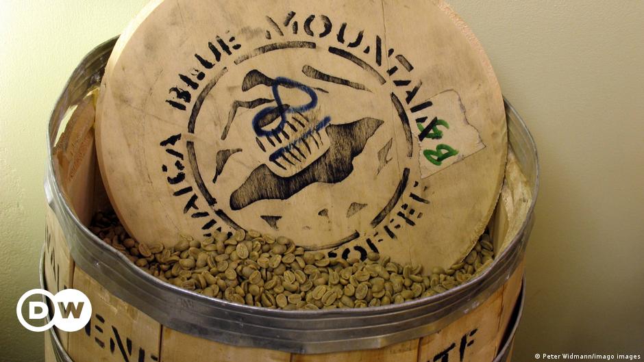 Blue Mountain Coffee bean From Jamaica - Direct roaster