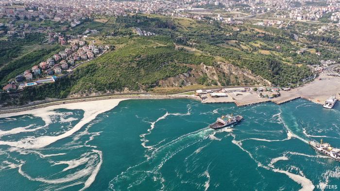 Aerial view of sea snot in Istanbul