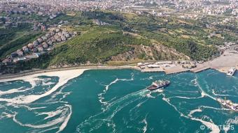 Aerial view of sea snot in Istanbul
