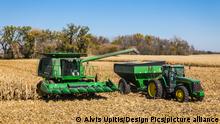 Harvesting Corn, Near Rake; Iowa, United States Of America
