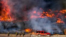 June 15, 2021, Los Angeles, California, USA: Firefighters battle brush fire burning in the Santa Fe Dam Recreation Area, in Irwindle, Calif., on Tuesday, June 15, 2021. (Credit Image: © Ringo Chiu/ZUMA Wire