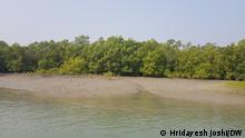 2017
Mangrove forest are in danger in India