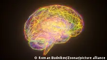 Colorful neon brain, computer generated. 3d rendering abstract backdrop from thin net