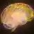 3d Rendering Gehirn Modell Neonfarben