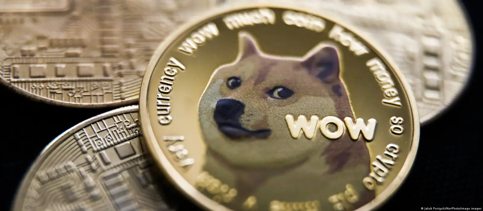 EE.UU.: demanda millonaria a Elon Musk por promover Dogecoin