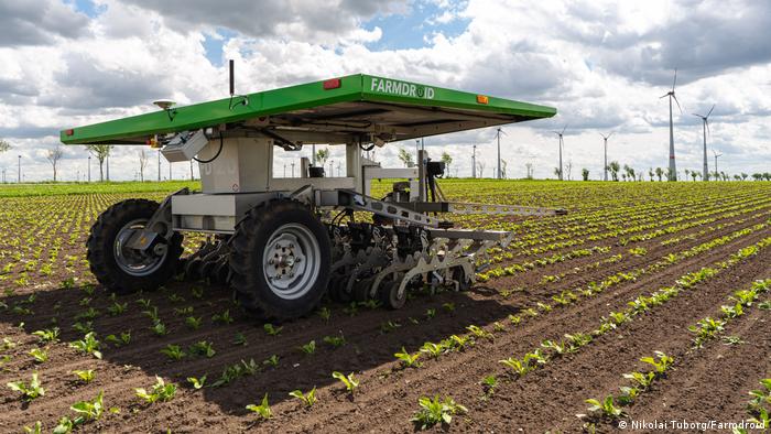 Der Feldrobotor Farmdroid mit Solardach bei der Feldarbeit