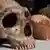 Cráneos de un Homo Neanderthalensis (izq.) y de un Homo Sapiens (der.)