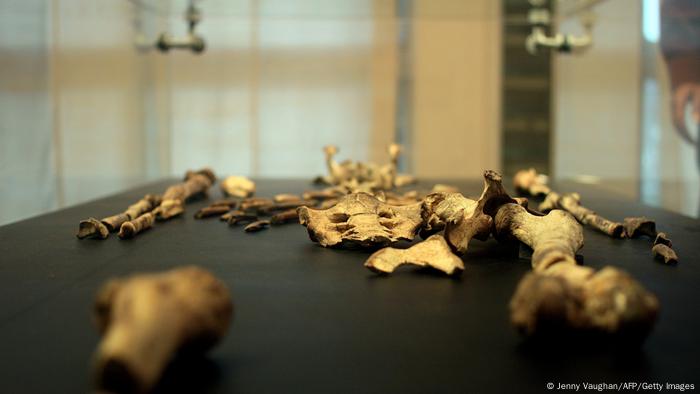 La canción de los Beatles Lucy in the Sky With Diamonds sonó para celebrar el hallazgo de un esqueleto femenino de 3,2 millones de años, de tal forma que el gran simio Australopithecus afarensis fue bautizado con el nombre de la exitosa canción de los Fab Four. Lucy fue descubierta en Etiopía en 1974 por el paleontólogo Donald C. Johanson y es uno de los primeros ancestros de la humanidad.