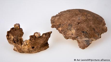 Überreste eines Urmenschen, der in Israel gefunden wurde
