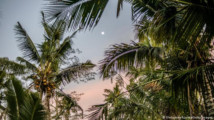  Bali Tropische Landschaft