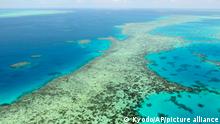 This aerial photos shows the Great Barrier Reef in Australia on Dec. 2, 2017. Australia said Tuesday, June 22, 2021, it will fight a recommendation for the Great Barrier Reef to be listed as in danger of losing its World Heritage values due to climate change, while environmentalists have applauded the U.N. World Heritage Committee's proposal.(Kyodo News via AP)