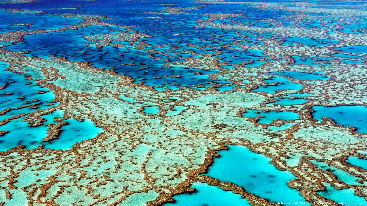 China denies influencing UNESCO move on Great Barrier Reef – DW – 07/18 ...