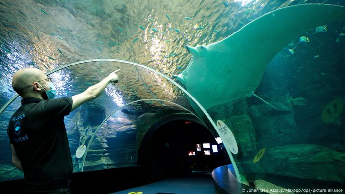 Nausicaa Aquarium Frankreich