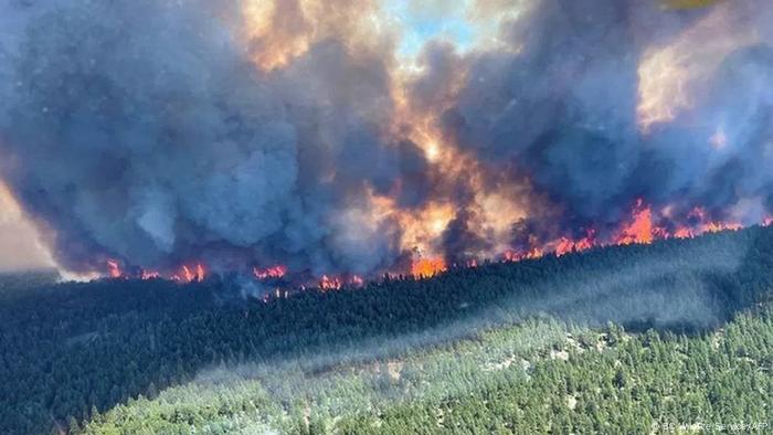 Wildfires in Canada