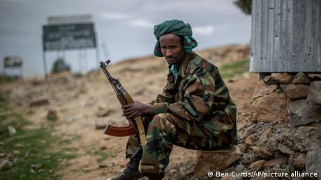 <div>Worldwide calls grow for mediation in Ethiopia's conflict</div>