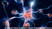 Network of neurons and neural connections, Brain cells, scientific conceptual 3D illustration (Canada)