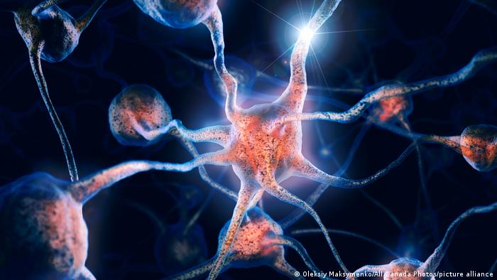 gambar menunjukkan sejumlah neuron yang saling terhubung