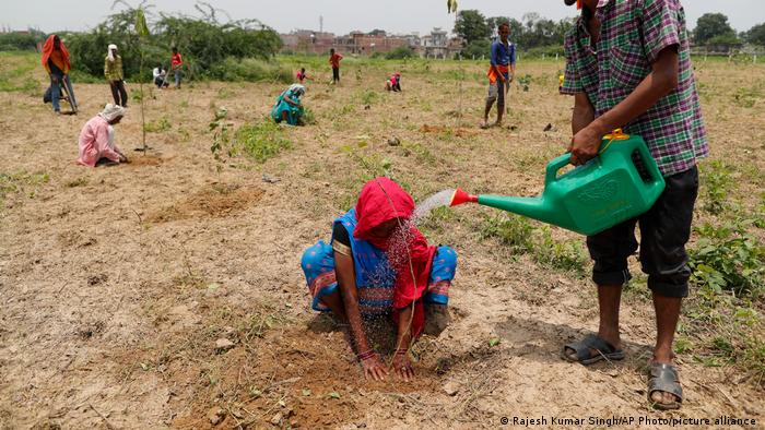 Indian Volunteers Plant 250 Million Saplings in One Day