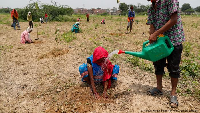 Indian Volunteers Plant 250 Million Saplings in One Day