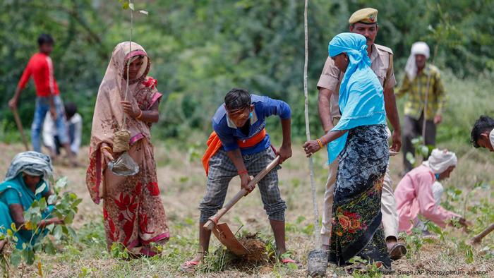 Indian Volunteers Plant 250 Million Saplings in One Day