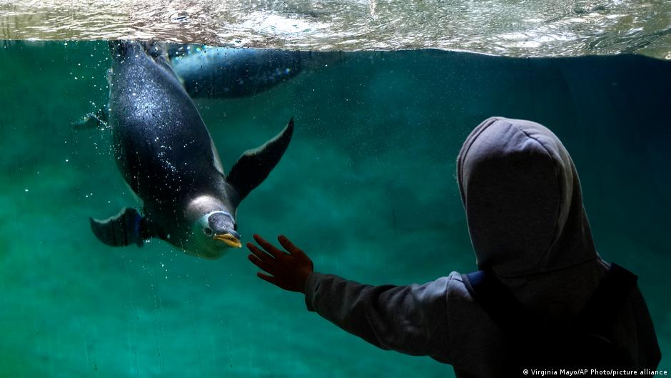 Bild des Tages: Nah und doch fern | Alle multimedialen Inhalte der Deutschen Welle | DW - Vimarsana News