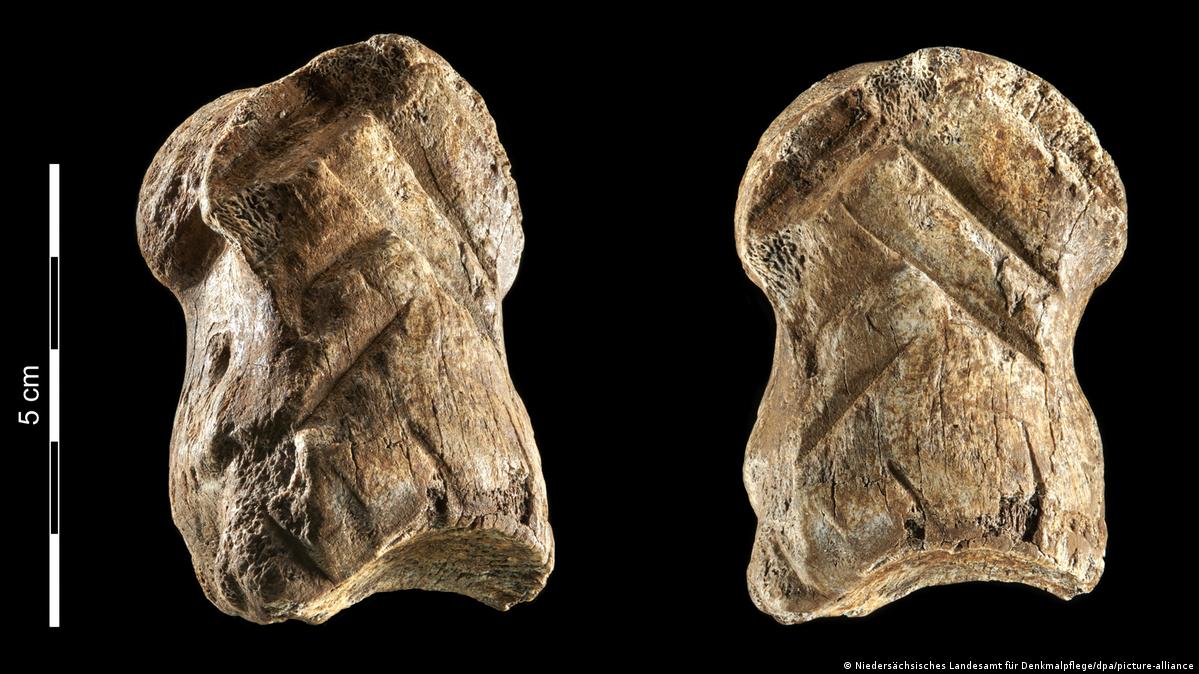 Two views of a prehistoric bone show deliberate carvings.