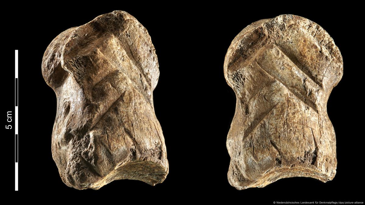 Two views of a prehistoric bone show deliberate carvings.