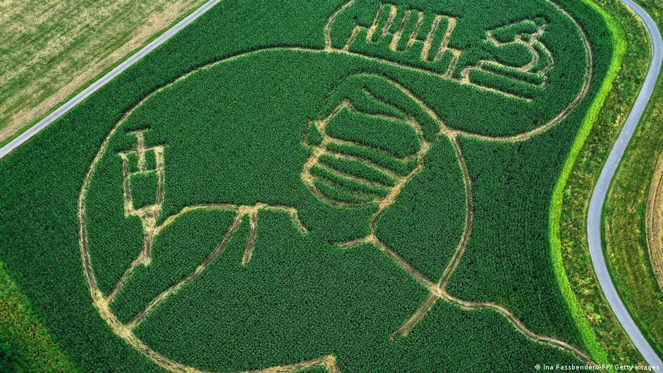 Bild des Tages: Corona-Impfung auf dem Maisfeld | Alle multimedialen Inhalte der Deutschen Welle | DW - Vimarsana News