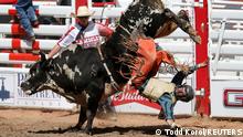 Denton Fugate of Ash Flat, Arkansas gets thrown off the bull Alameda Slim in the bull riding event during the rodeo as the Calgary Stampede gets underway following a year off due to coronavirus disease (COVID-19) restrictions, in Calgary, Alberta, Canada July 10, 2021. REUTERS/Todd Korol