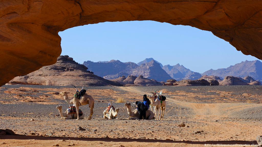 Libya S Battle To Protect Its Endangered Forests Global Ideas Dw 20 07 2021