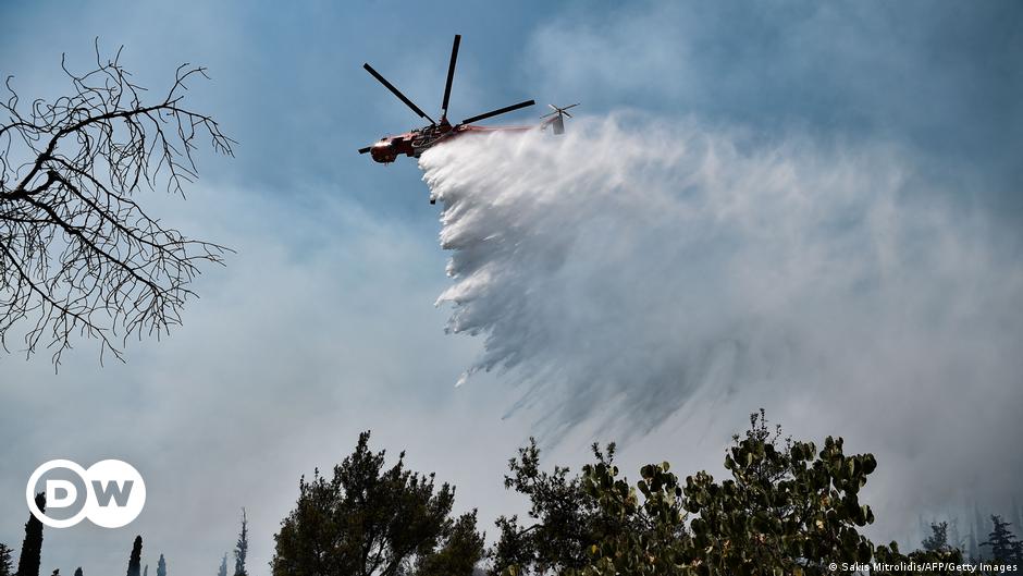 Ελλάδα: Θα υπάρξουν δασικές πυρκαγιές στο ευρωπαϊκό μέλλον |  DW