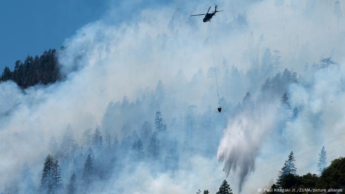 USA | Waldbrände in Kalifornien