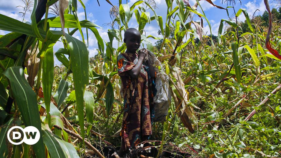 Des paysans expulsés pour des crédits carbone au Congo