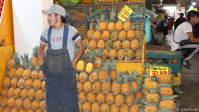 Piña de Veracruz