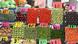 Cajones de frutas y verduras expuestos en feria con precios. Cajones de frutas y verduras expuestos en feria con precios.