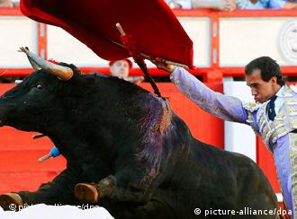 Matador runs bull through red cape