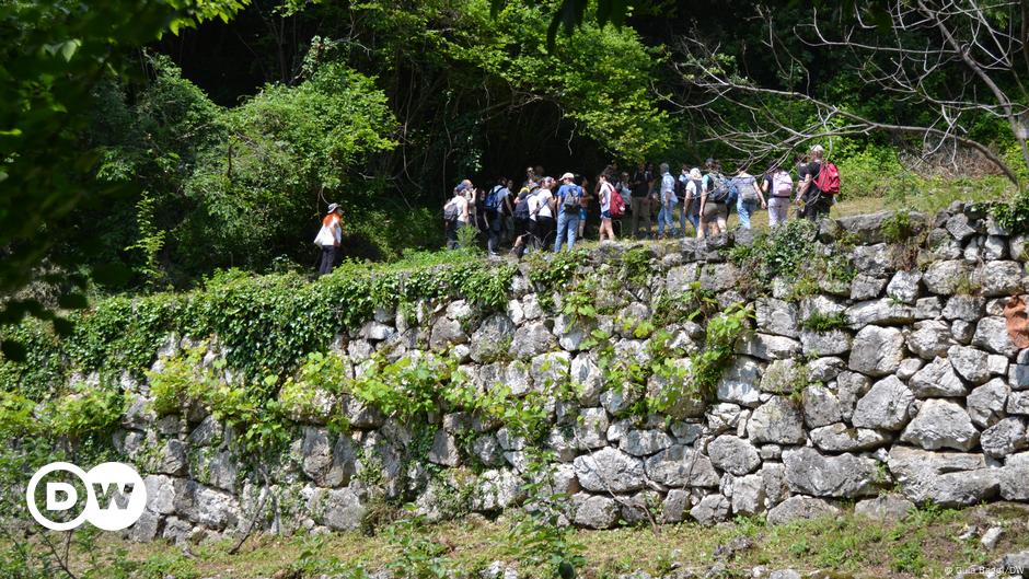 Italiens verlorene Terrassenfelder vor der Wiedergeburt?