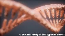 DNA molecule on the grey background