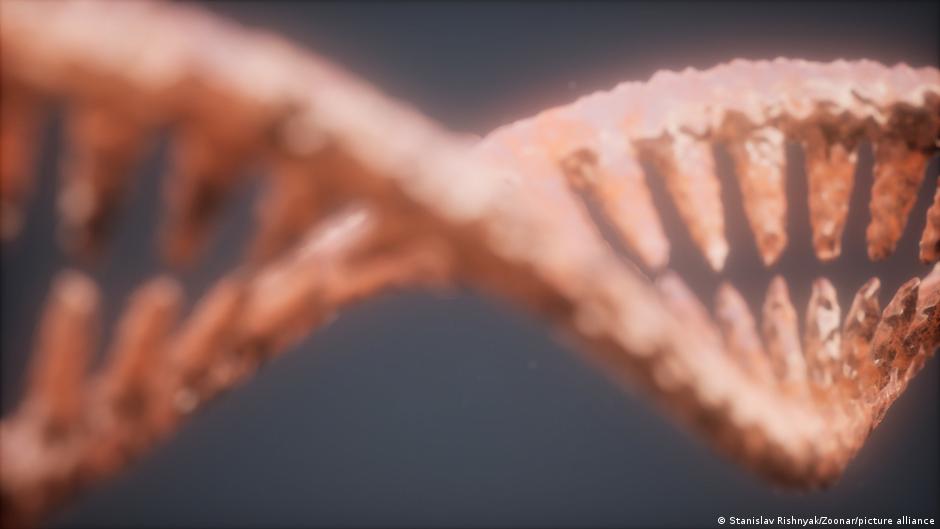 Το DNA είχε έναν κανόνα. Τα βακτήρια δεν έλαβαν το σημείωμα