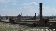2018+++Blick auf die Ruinen der Baracken des sogenannten Zigeunerlagers in der Gedenkstätte Auschwitz-Birkenau