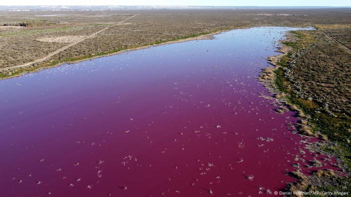 Lago en Argentina se tiñe de rosa por polución de industrias pesqueras |  Argentina | DW | 26.07.2021