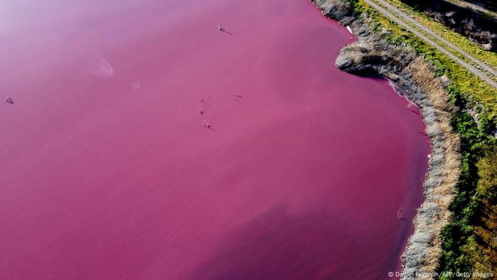 Vista aérea de una laguna que se tiñó de rosa debido a un producto químico utilizado para ayudar a la conservación del camarón en las fábricas de pesca cerca de Trelew, en la provincia patagónica de Chubut, Argentina