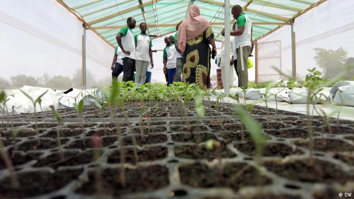 DW Sendung Eco Afrika | Burkina Landwirtschaft