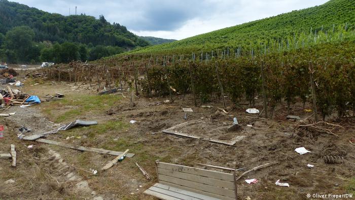 Вода пошкодила виноградники внизу долини Ару