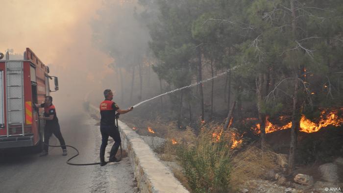 Bodrum'da yerli ve yabancı turistler tahliye ediliyor