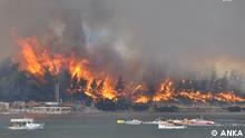 29.07.2021
Türkei | Waldbrände in Bodrum