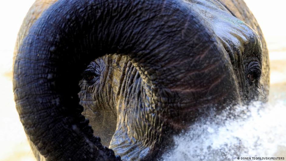Bild des Tages: Dunja hat den Durchblick | Alle multimedialen Inhalte der Deutschen Welle | DW - Vimarsana News