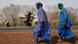The Wider Image: Senegalese plant circular gardens in Green Wall defence against desert The Wider Image: Senegalese plant circular gardens in Green Wall defence against desert