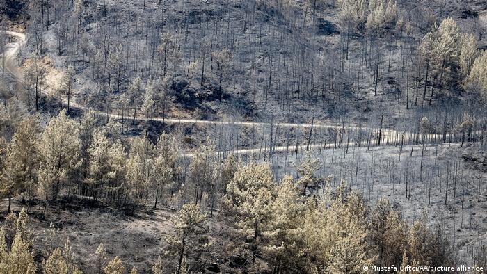Antalya bölgesinde yangının söndürüldüğü alanlar